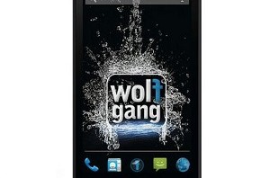 Cases voor Wolfgang AT-AS45qHD 8GB